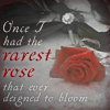 rose.jpg